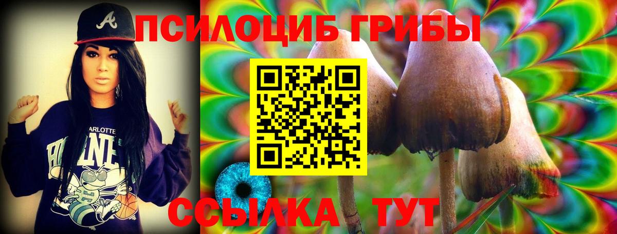 даркнет сайт  Вход с VPN  Мыски  Псилоцибиновые грибы Cubensis 