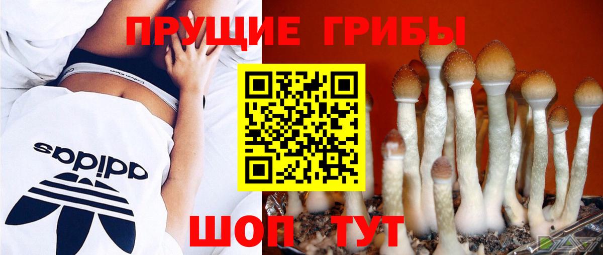 Галлюциногенные грибы Cubensis Мыски